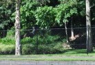 Glenore Grovechainlink-fencing-9.jpg; ?>