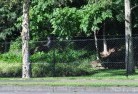 Glenore Grovemesh-fencing-10.jpg; ?>
